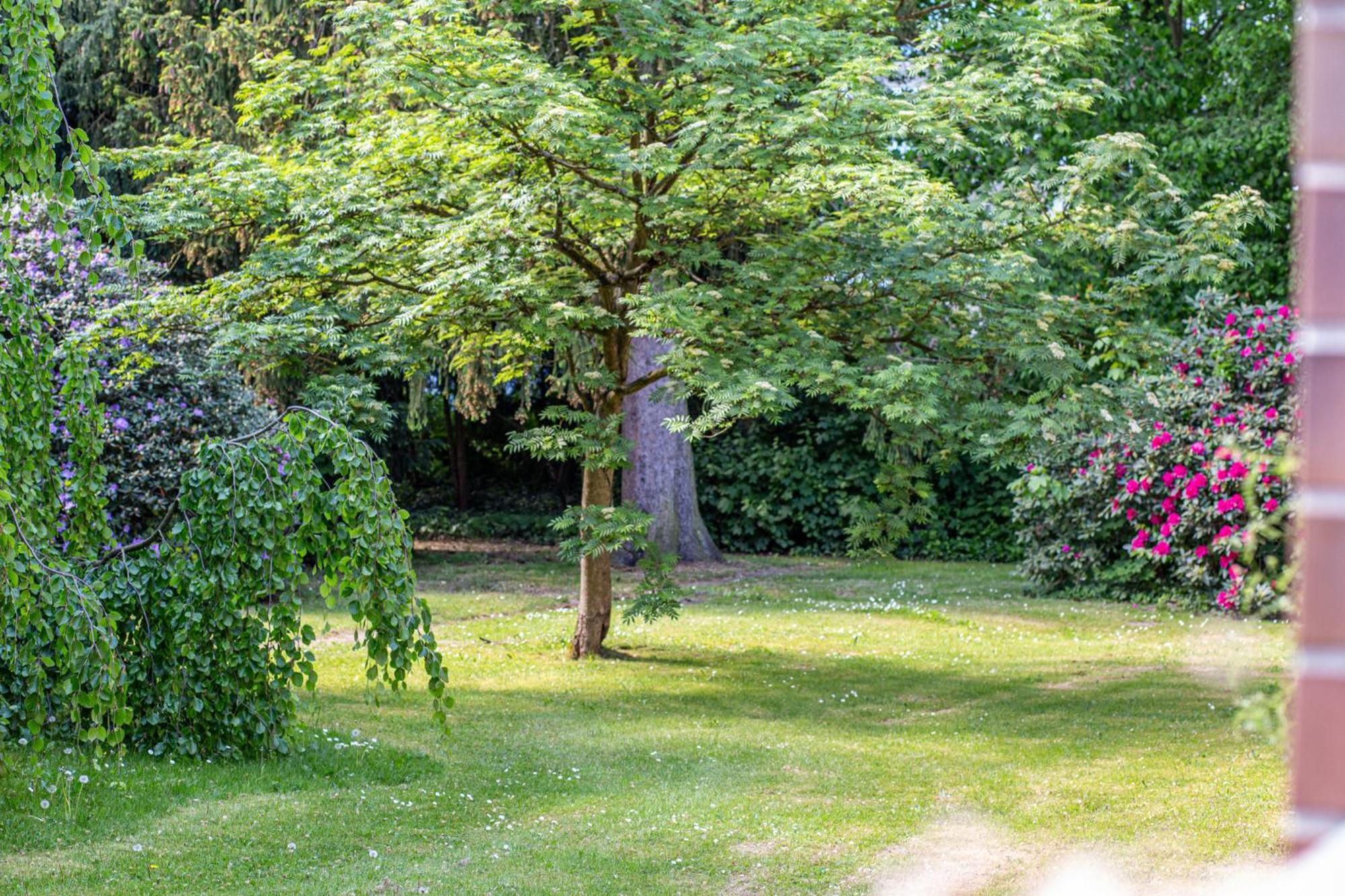 Have-A-Nice-Stay - Nahe Bahnhof Ahrensburg - 20 Minuten Nach Hamburg - Trotzdem Ruhig Gelegen - 6 Minuten Zu Fuss Ins Zentrum Ahrensburg - Modern Eingerichtet Экстерьер фото